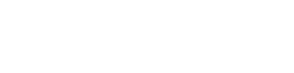 Logo da Wed Systems em branco