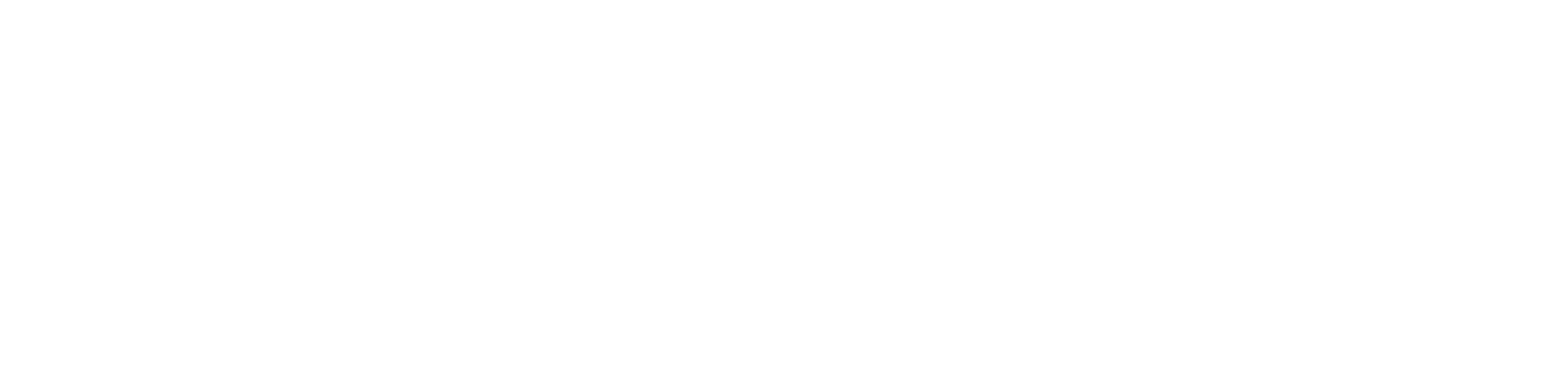 Logo da Wed Systems em branco